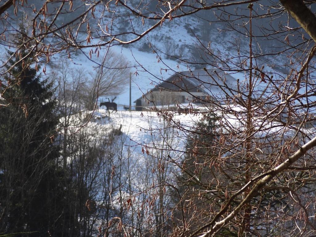 Ferme Auberge A La Colline Ferdrupt ภายนอก รูปภาพ
