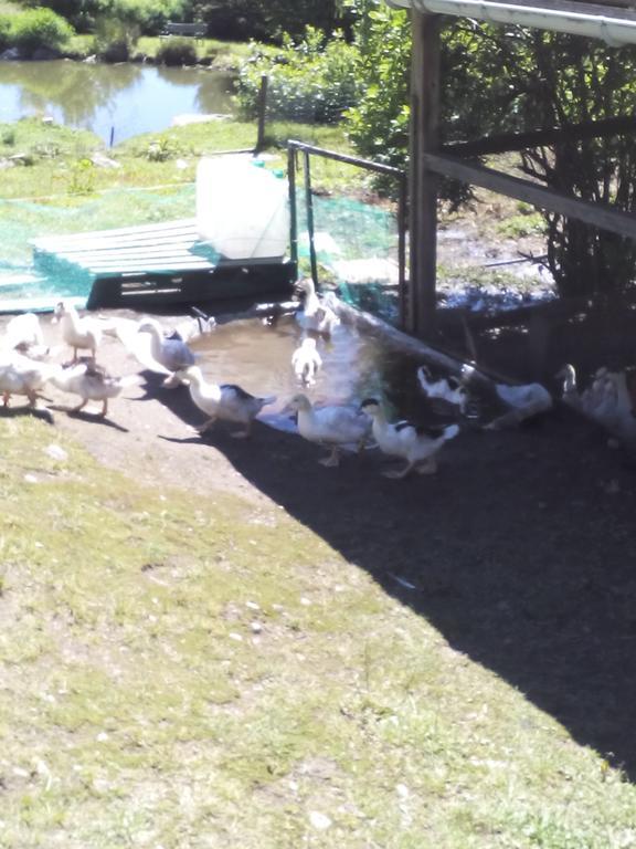 Ferme Auberge A La Colline Ferdrupt ภายนอก รูปภาพ
