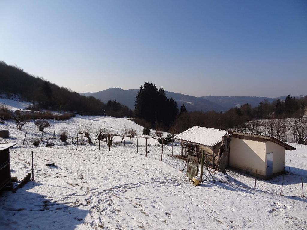 Ferme Auberge A La Colline Ferdrupt ภายนอก รูปภาพ