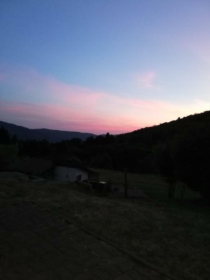 Ferme Auberge A La Colline Ferdrupt ภายนอก รูปภาพ