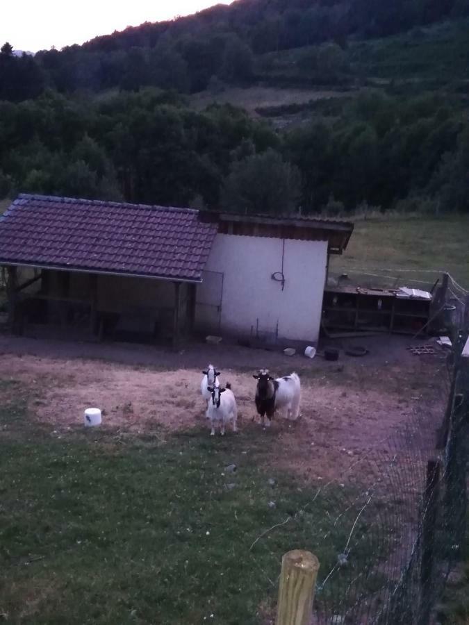 Ferme Auberge A La Colline Ferdrupt ภายนอก รูปภาพ